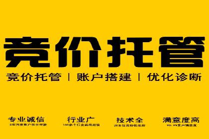 某电商平台的SEM广告投放策略及效果评估